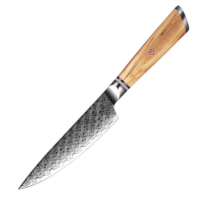 ARTIDGE 4" Paring Knife 67 Layers Damascus Steel with AUS-10 Steel Core and Olive Wood Handle, Premium Sharpness, Ergonomic Design with a Hardness of 60±2 HRC - Pure Series