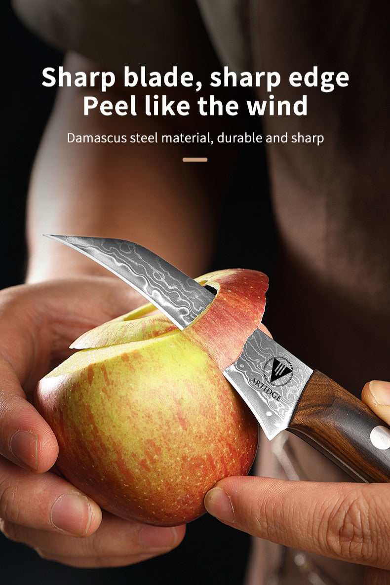ARTIDGE 3.5" Paring Knife Damascus Steel Peel Chef Knife - 67-Layer Forged Fruit/Vegetable Knife with Natural Solid Wood Handle, 15° Double-Edged Blade, Ultra-Sharp & Corrosion Resistant-Sheng Series