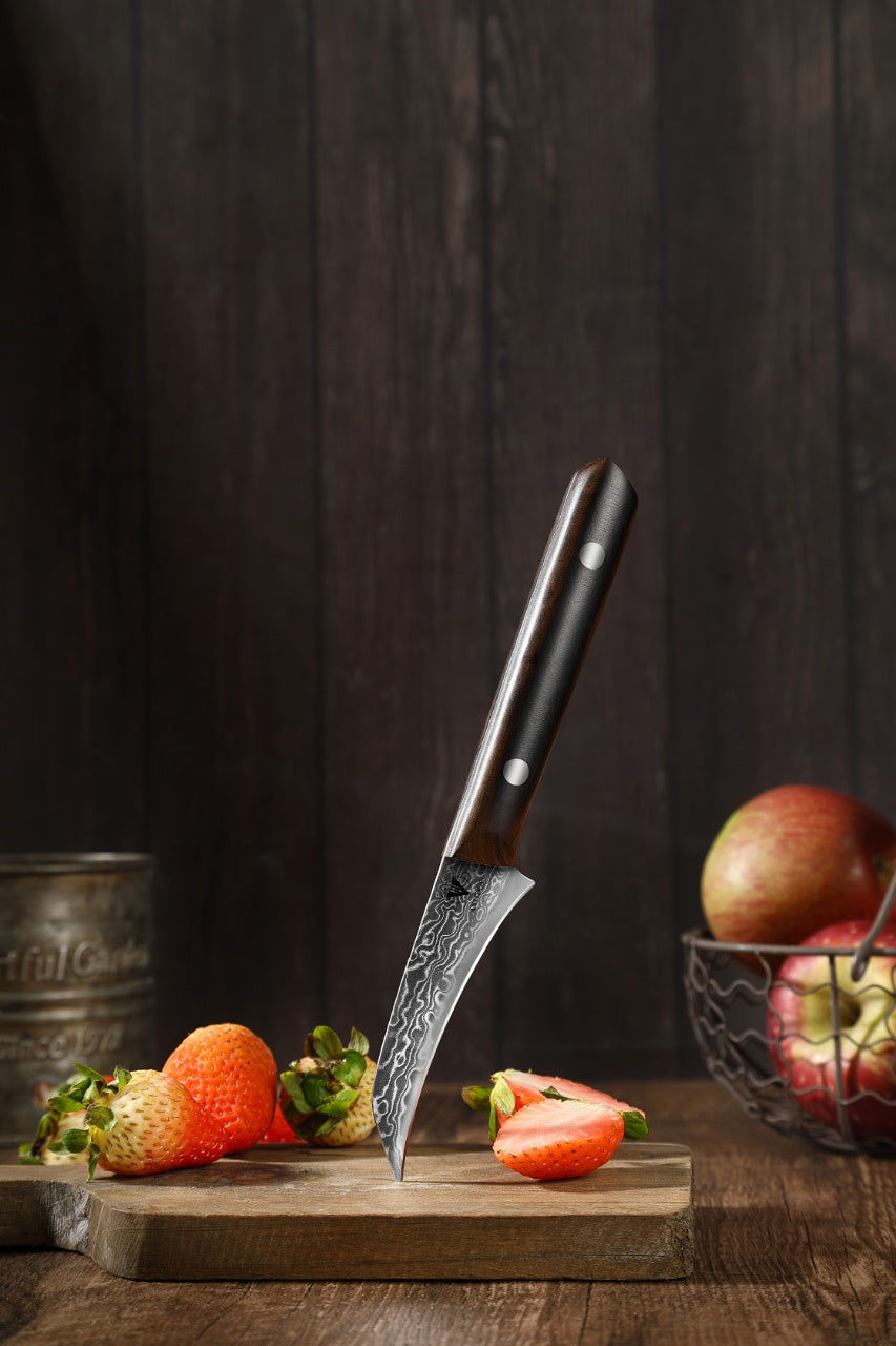 ARTIDGE 3.5" Paring Knife Damascus Steel Peel Chef Knife - 67-Layer Forged Fruit/Vegetable Knife with Natural Solid Wood Handle, 15° Double-Edged Blade, Ultra-Sharp & Corrosion Resistant-Sheng Series