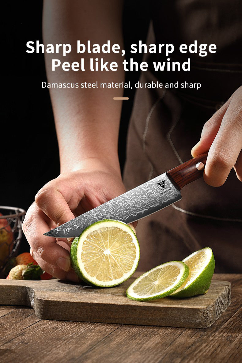 ARTIDGE 4.7" Utility Knife Damascus Steel Multi-Purpose Chef Knife - 67-Layer Forged Kitchen Knife with Natural Solid Wood Handle, 15° Double-Edged Blade, Ultra-Sharp & Durable-Sheng Series