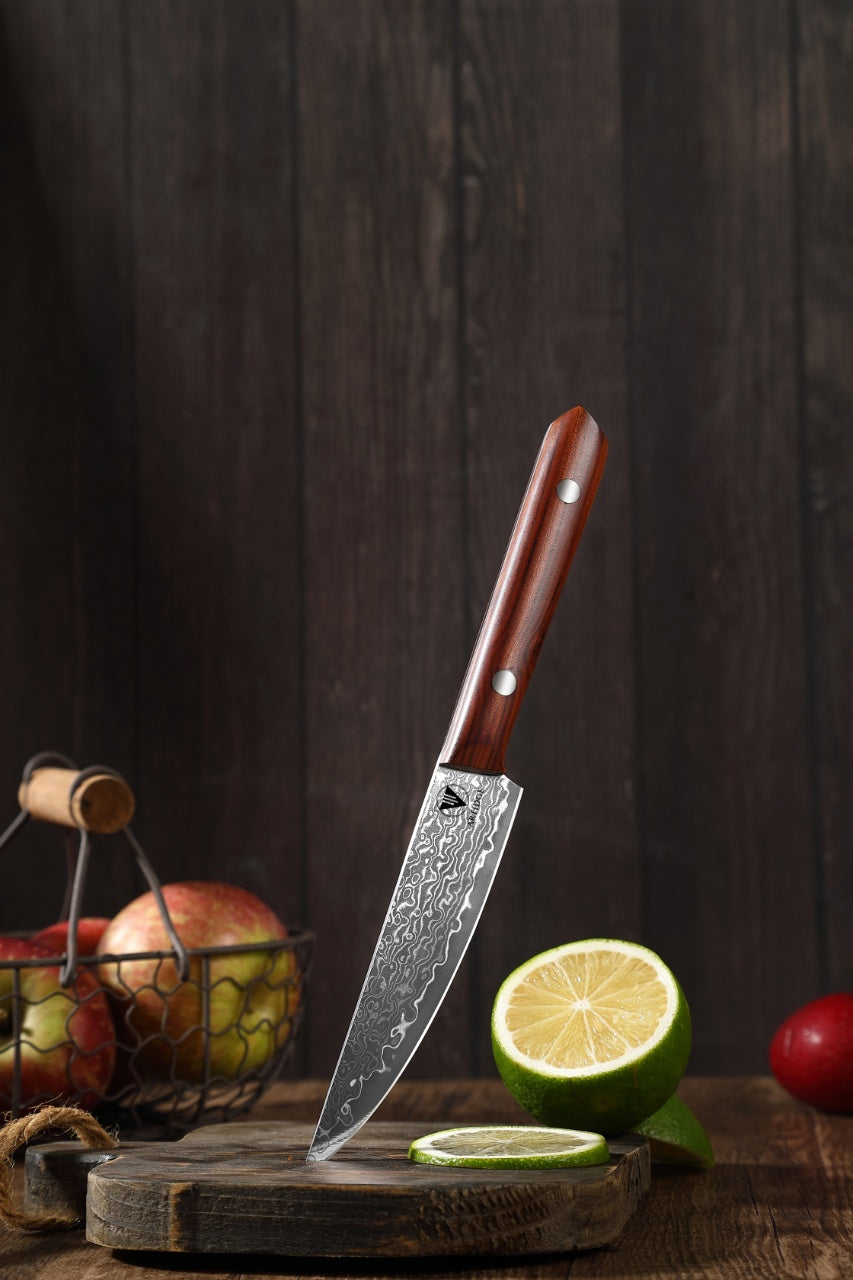 ARTIDGE 4.7" Utility Knife Damascus Steel Multi-Purpose Chef Knife - 67-Layer Forged Kitchen Knife with Natural Solid Wood Handle, 15° Double-Edged Blade, Ultra-Sharp & Durable-Sheng Series